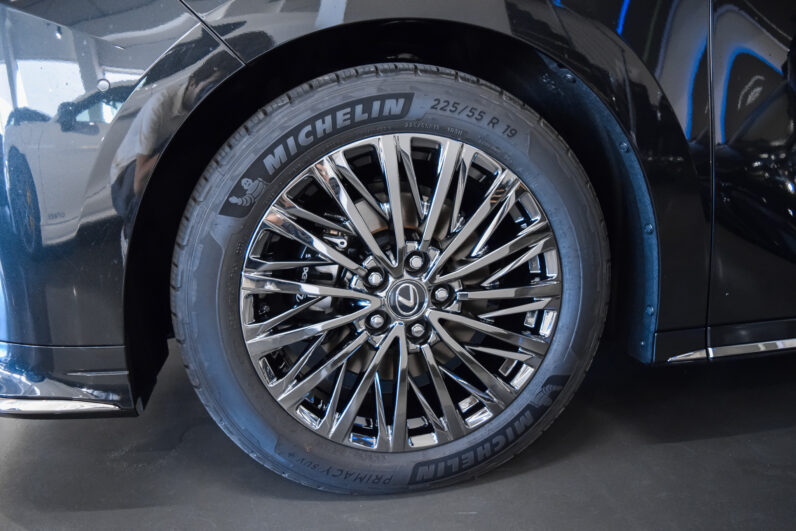 Lexus LM 350h Luxury 4 plazas lleno