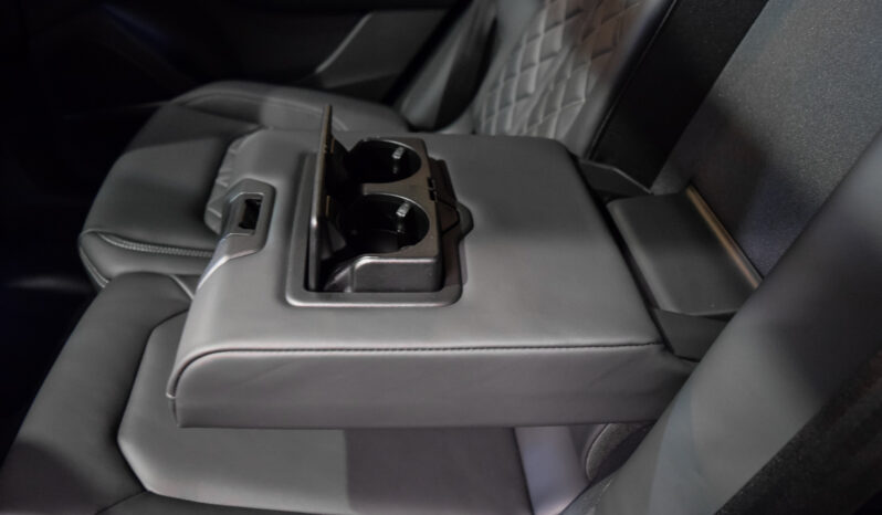 Audi Q8 50 TDI S-Line MY25 lleno