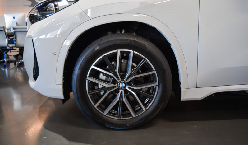 BMW X1 20d M Sport lleno