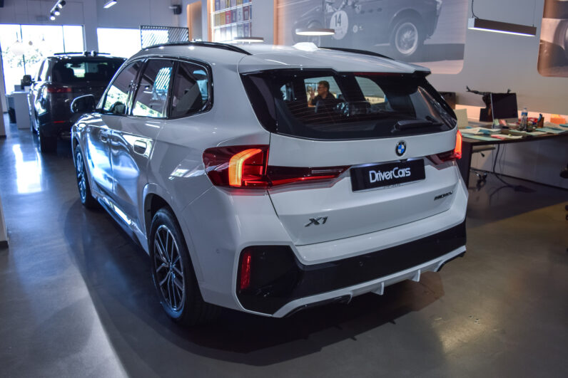 BMW X1 20d M Sport lleno